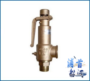 CB_3192-83外螺纹蒸汽青铜直角安全阀 带LR船级社证书(图1)