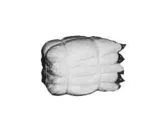 IMPA手册 编号232909破布(图1)