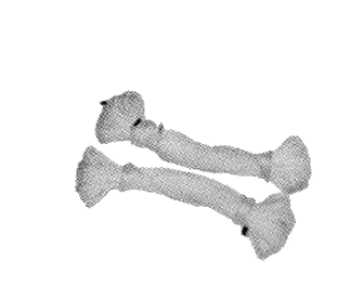 IMPA手册 编号211411丙纶双股细绳(图1)