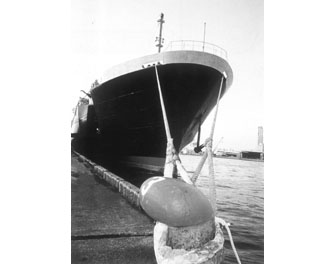 IMPA手册 编号211551陆海两用8股缆绳(图1)