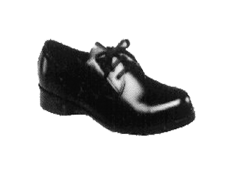 IMPA手册 编号190317安全鞋(图1)