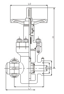 油田专用平板闸阀(图3)