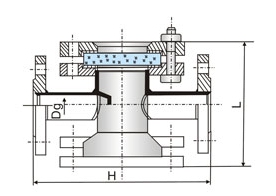 HGS07衬四氟视镜(图1)