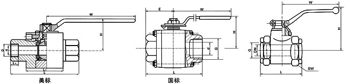 Q11N-160P,320P内螺纹高压球阀(图1)