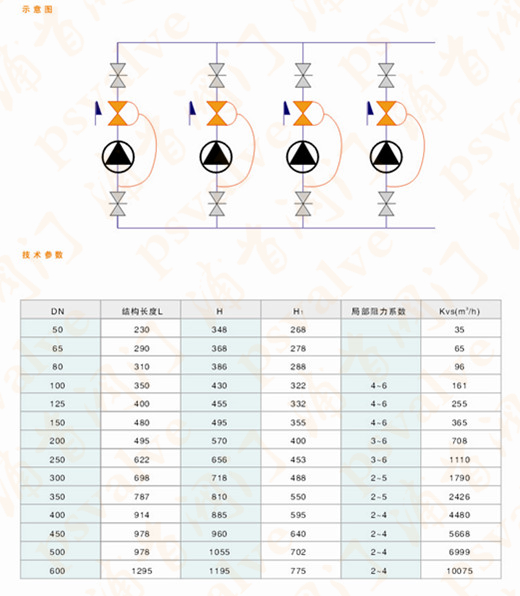 限流止回阀(图2)