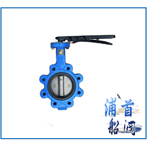 Marine central lug type butterfly valve 