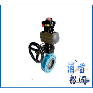 Marine pneumatic butterfly valve with ma