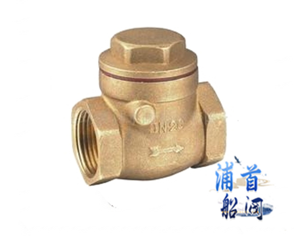 不锈钢止回阀有几种不同的种类(图2)