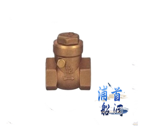 不锈钢止回阀有几种不同的种类(图3)